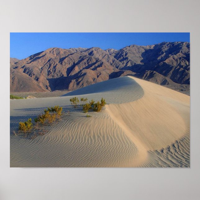 Póster Poster de dunas y montañas del Valle de la Muerte  (Frente)