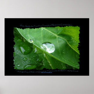 Póster Poster de Eco de Leaf Drop de CONSERVACIÓN DE AGUA