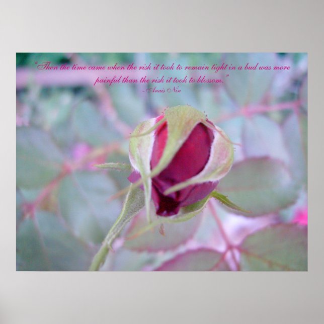 Póster Poster de elegancia pura (Frente)