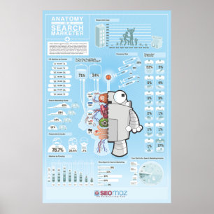 Póster POSTER de Encuesta Industrial SEOmoz 2010