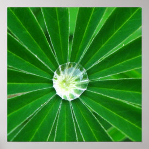 Póster Poster de energía verde