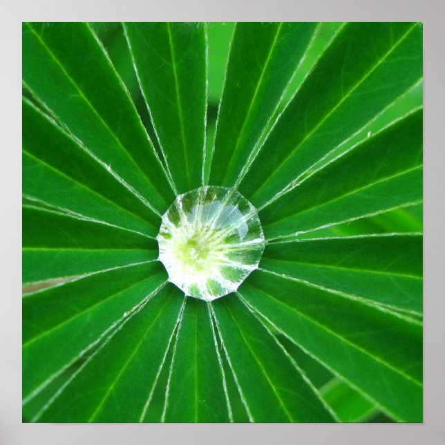 Póster Poster de energía verde (Frente)