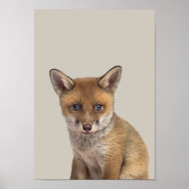 Póster Poster de enfermería de animales bebés - Fox