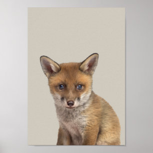 Póster Poster de enfermería de animales bebés - Fox