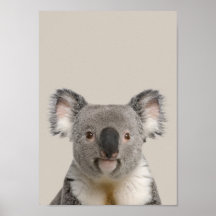 Poster de enfermería de animales bebés - Koala