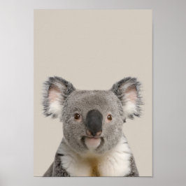 Póster Poster de enfermería de animales bebés - Koala