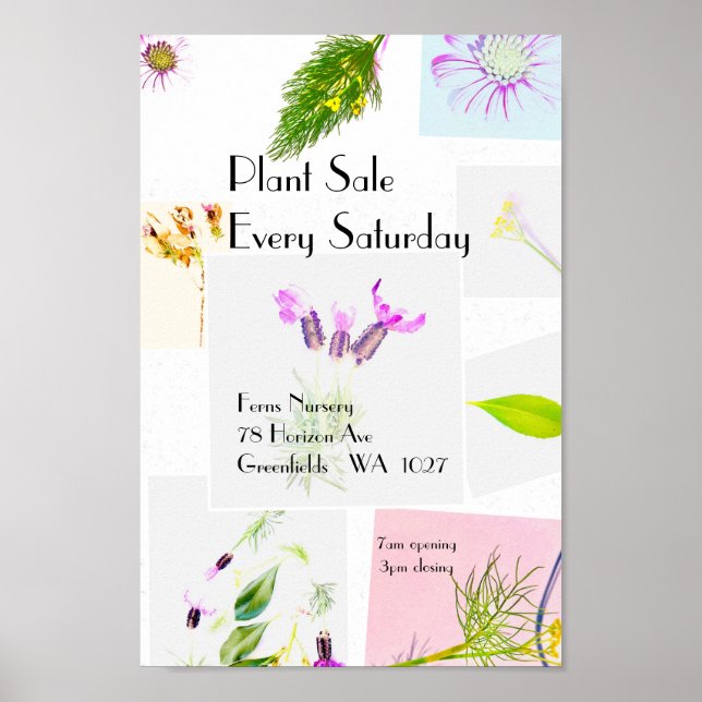Póster Poster de enfermería de venta de plantas (Frente)