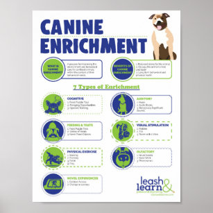 Póster Poster de Enriquecimiento Canino
