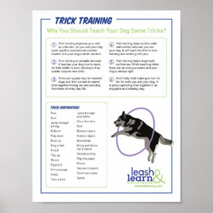 Póster Poster de entrenamiento para perros