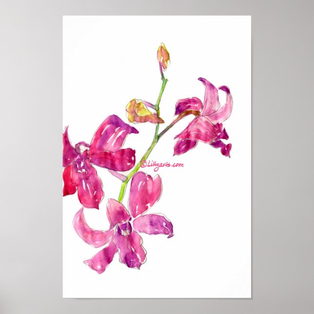 Póster Poster de esbozo floral de bebés orquídeos rosados (Frente)