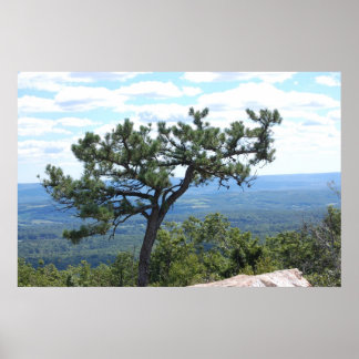 Póster Poster de escena