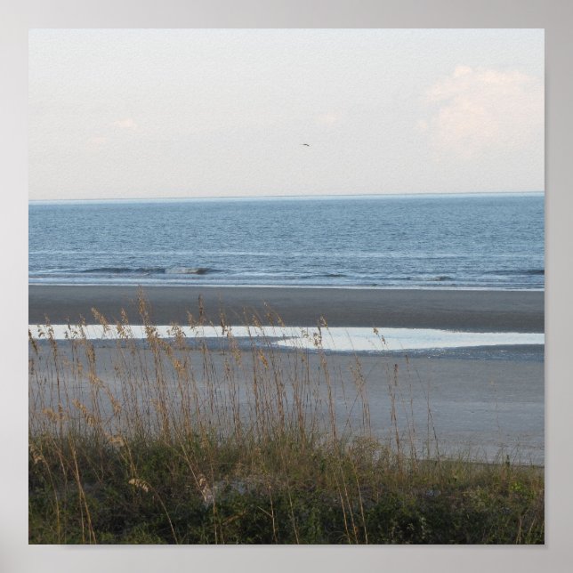 Póster Poster de escenas de playa (Frente)