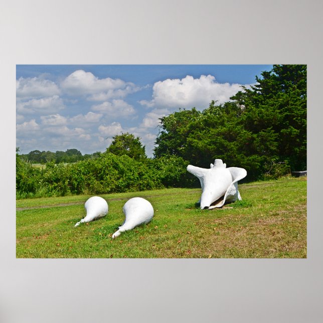 Póster Poster de escultura de shell (Frente)