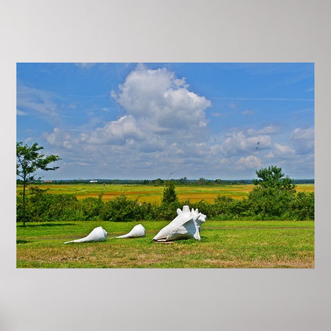 Póster Poster de escultura de shell (Frente)