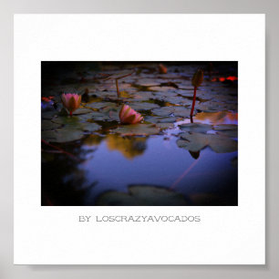Póster Poster de estanques estilizados de lirio de agua r