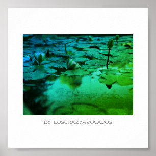 Póster Poster de estanques estilizados de lirio de agua r