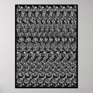 Póster Poster de esterograma 3D oculto - Jolly Roger, B&W