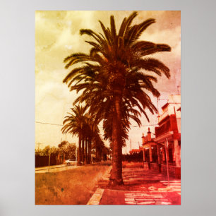Póster Poster de estilo de vintage de árbol de palmas