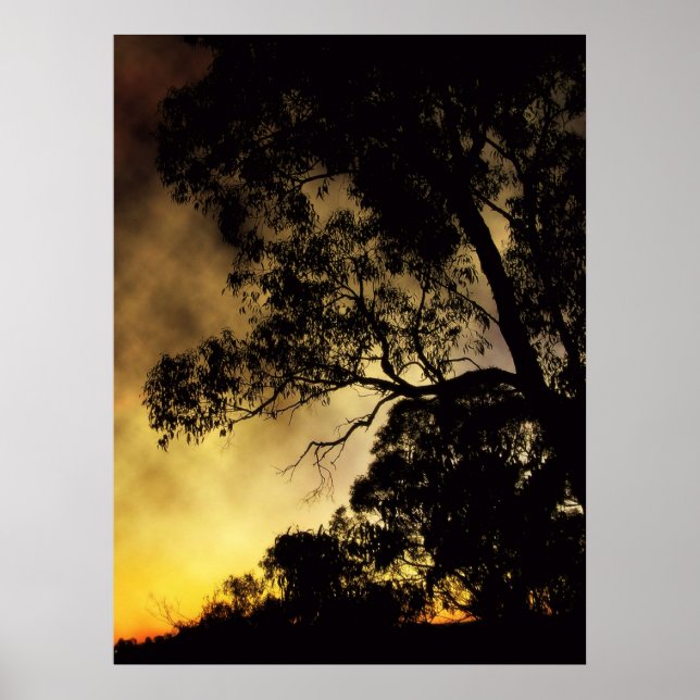 Póster Poster de Eveningscapes (Frente)