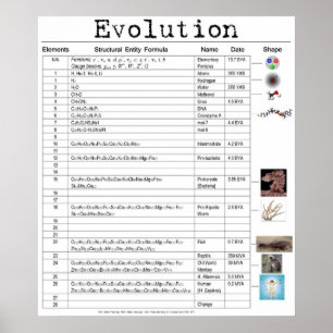 Póster Poster de evolución