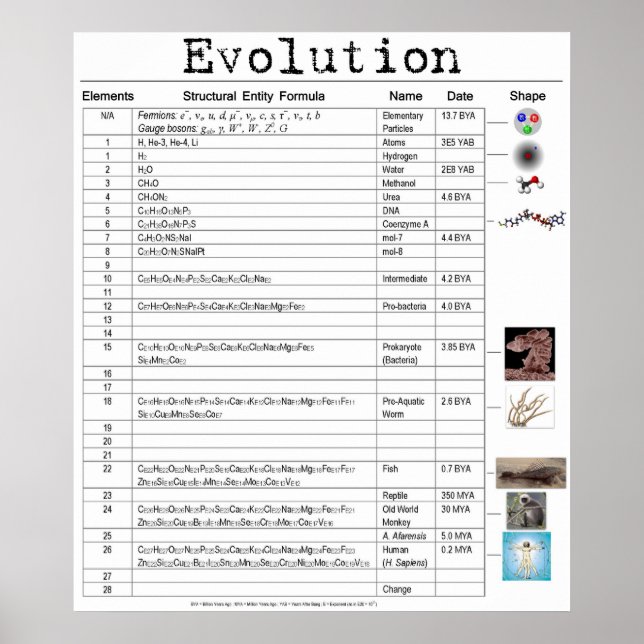 Póster Poster de evolución (Frente)