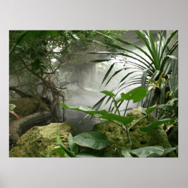 Póster Poster de Exhibición de la Selva Tropical Zoológic