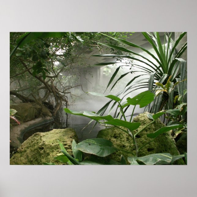 Póster Poster de Exhibición de la Selva Tropical Zoológic (Frente)
