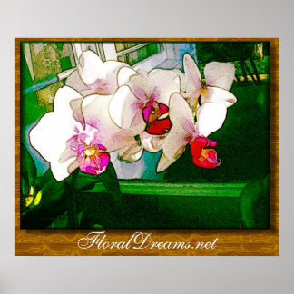 Póster Poster de explosión de orquídeas