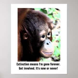 Póster Poster de extinción de vida silvestre