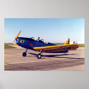 Póster Poster de Fairchild PT-19 Cornell