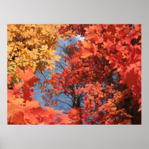 Póster Poster de Fantasía Caída (2)