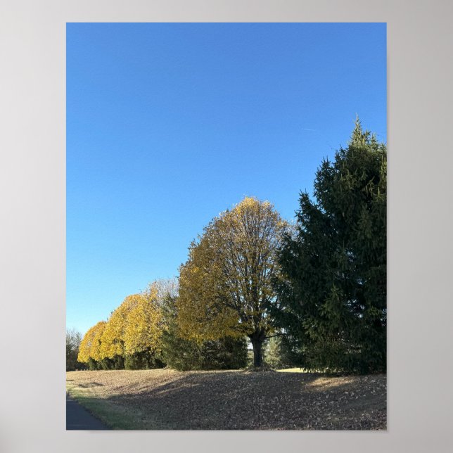 Póster Poster de Fila de Árboles (Frente)