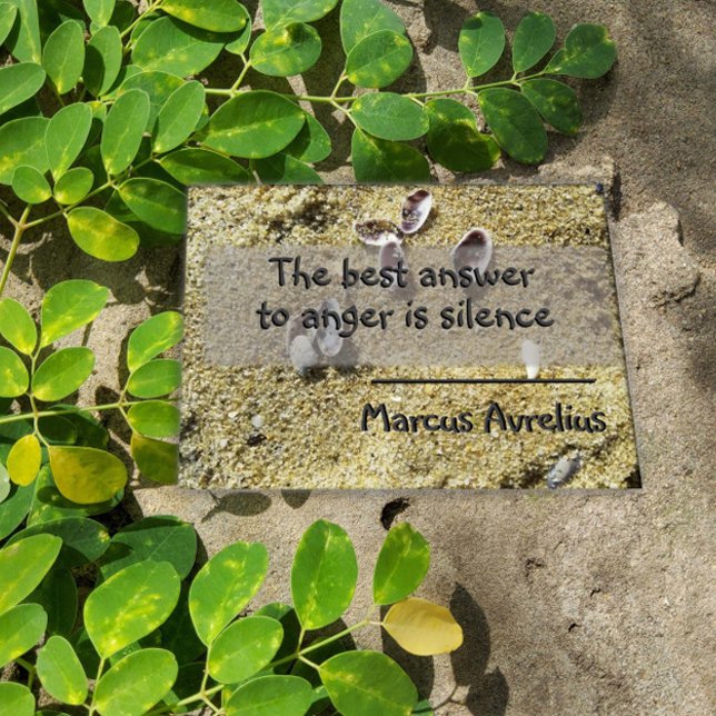 Póster Poster de filosofía de silencio de frases latinas (Subido por el creador)