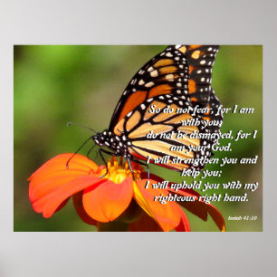 Póster Poster de flor de girasol de mariposa monarca