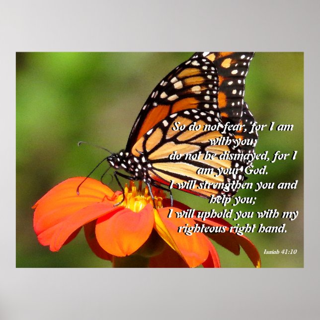 Póster Poster de flor de girasol de mariposa monarca (Frente)