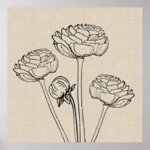 Poster de flor de lienzo de dibujo Ranunculus
