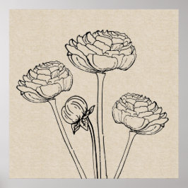 Póster Poster de flor de lienzo de dibujo Ranunculus
