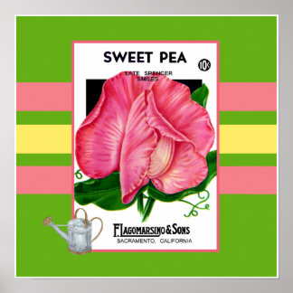 Póster Poster De Flor De Pea Sweeet