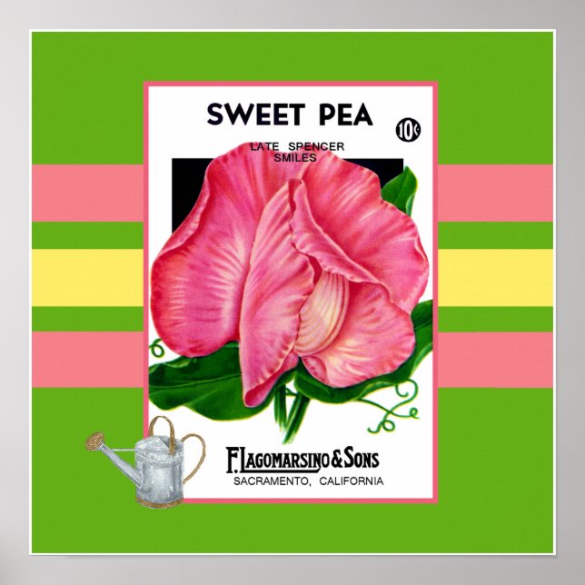 Póster Poster De Flor De Pea Sweeet (Frente)