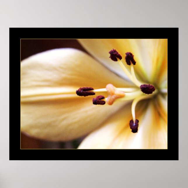 Póster Poster de flor de reloj parado (Frente)