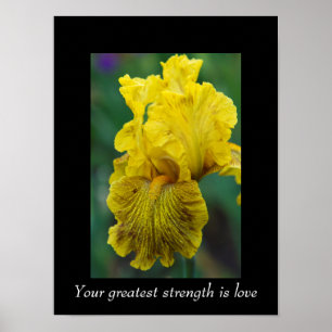 Póster Poster De Flor Iris De Cita inspiradora
