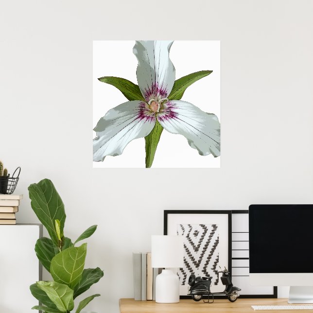 Póster Poster de Flor Silvestre Trillium Spring (Oficina en casa)