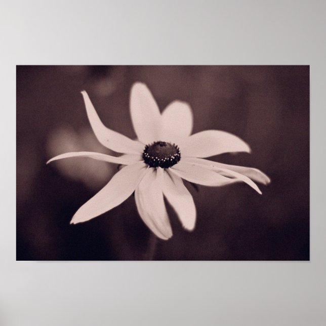 Póster poster de flores (Frente)