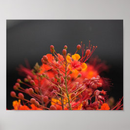Póster Poster de flores