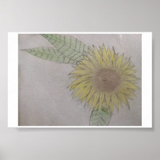 Póster poster de flores