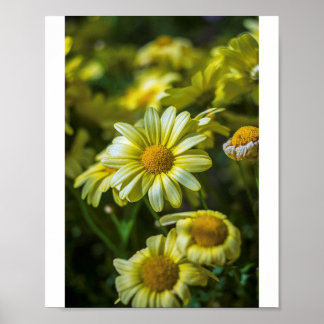 Póster Poster de flores amarillas