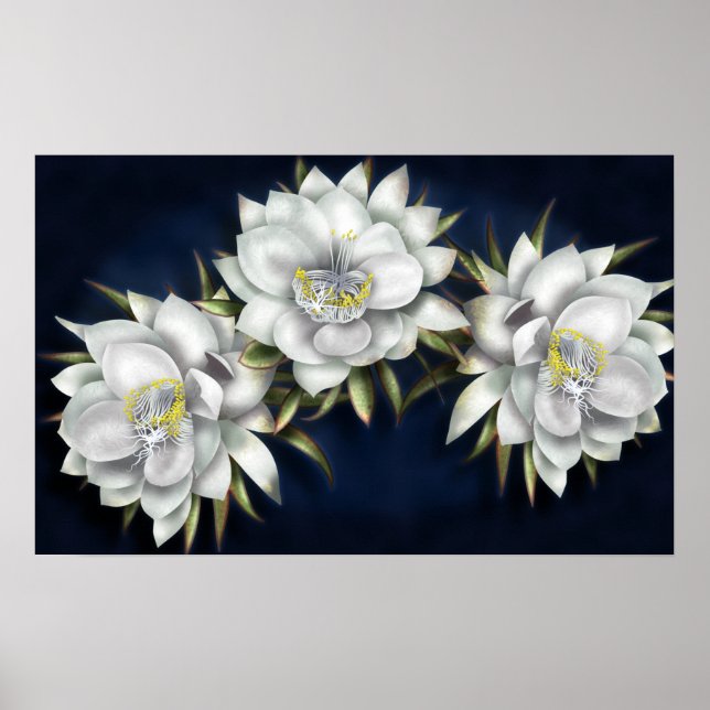 Póster Poster de flores blancas (Frente)