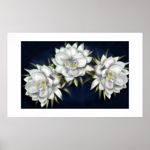 Póster Poster de flores blancas