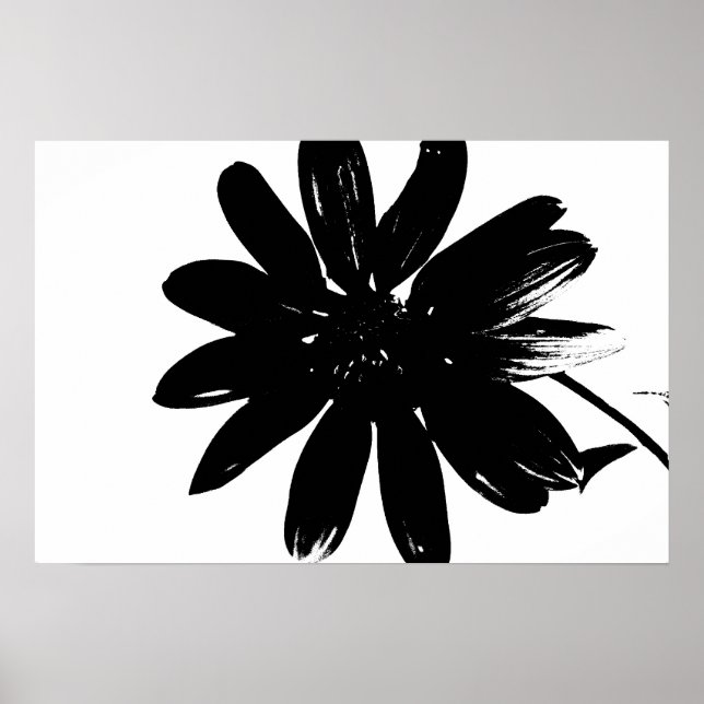 Póster Poster de flores blancas y negras (Frente)