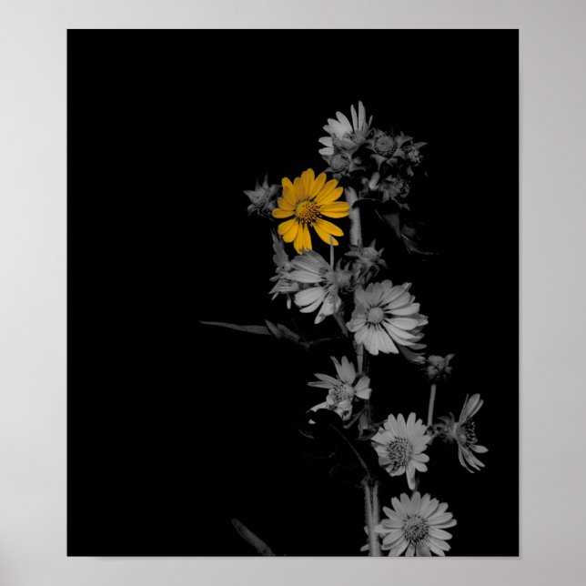 Póster Poster de flores blancas y negras parcialmente col (Frente)